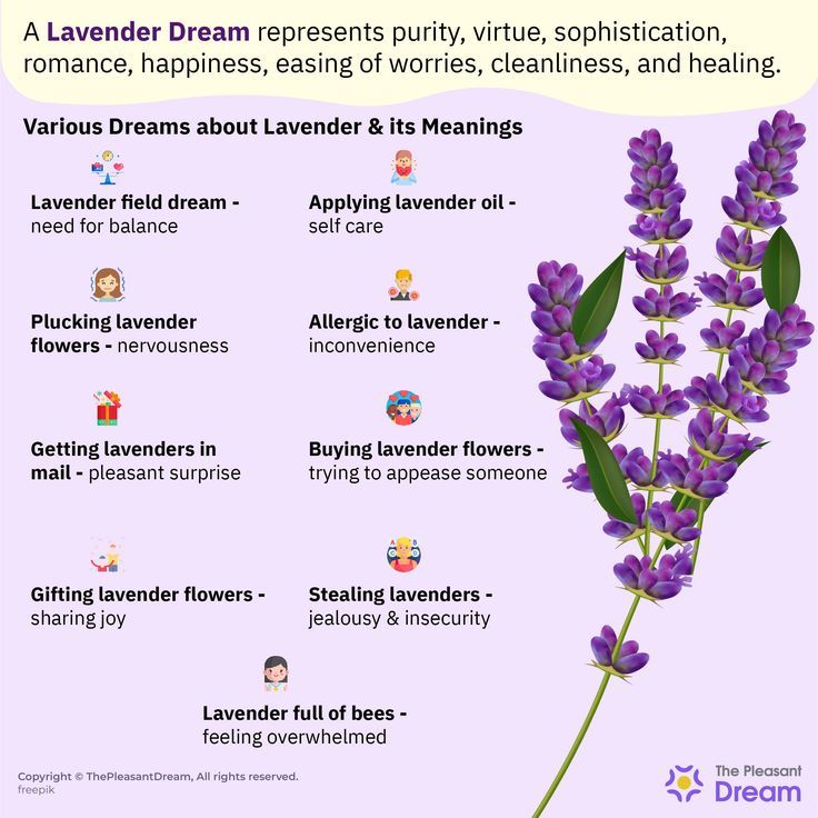 Discover the Hidden Meaning of Lavender Dreams: Peace and Healing