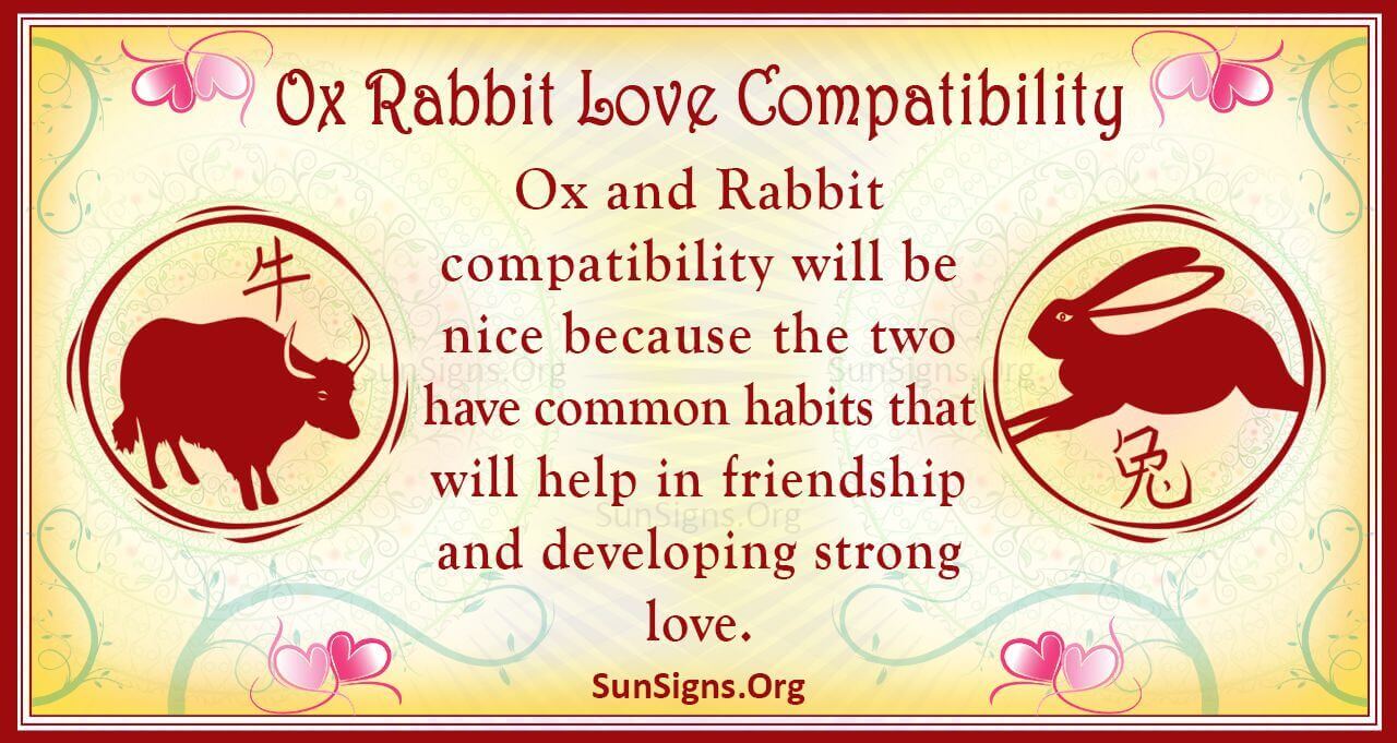 Is Rabbit and Ox Compatibility a Recipe for Disaster?