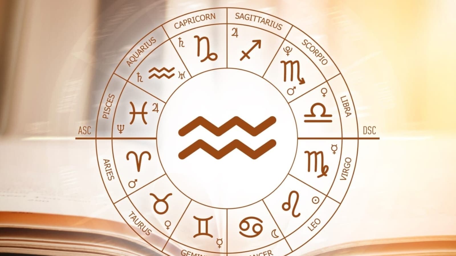 Aquarius February 2 Birthday Horoscope: What to Expect in 2024-2025