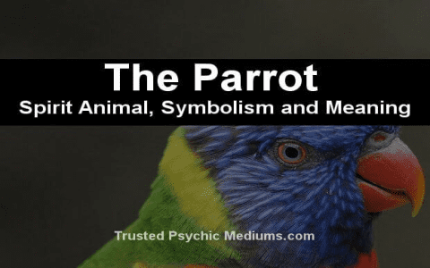 Dreaming of Parrots: Discover the Hidden Symbolism and Messages