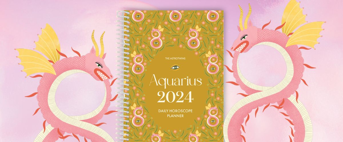 Aquarius February 2 Birthday Horoscope: What to Expect in 2024-2025