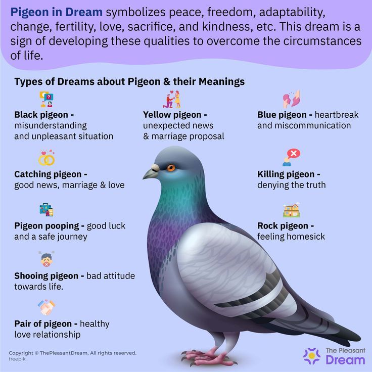 Decoding Pigeon Dreams: Symbolism of Peace, Freedom, and Good Luck