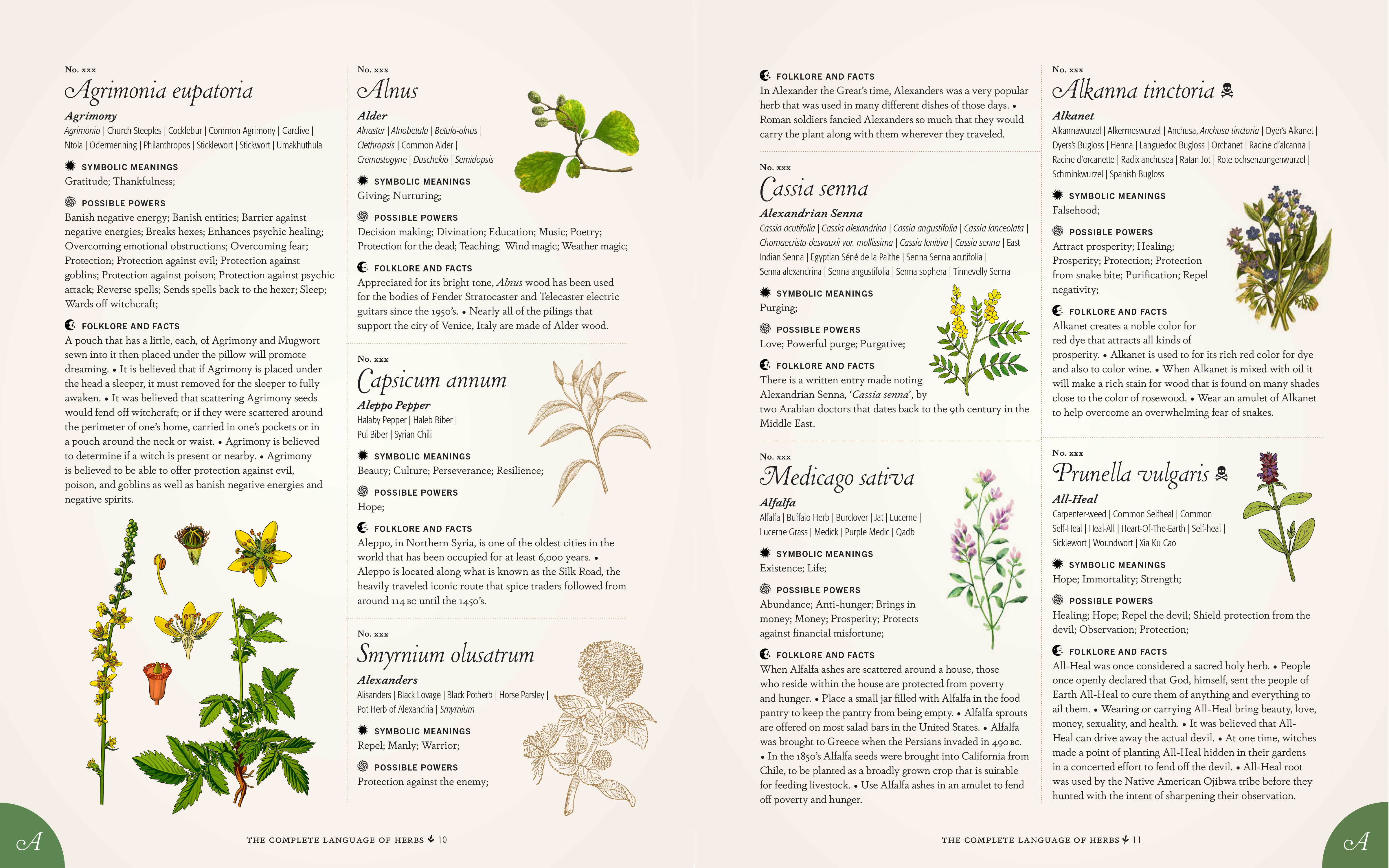 Dreaming of Herbs: Symbolism, Growth, and Emotional Healing Explained