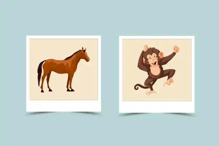 Decoding Horse and Monkey Compatibility in Chinese Zodiac