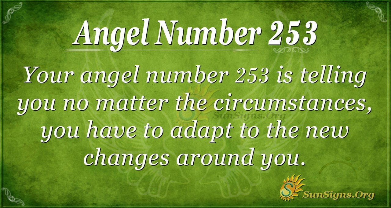 253 angel number