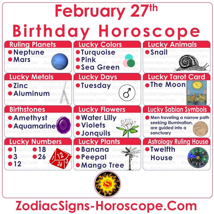 Explore Your Personality: February 27 Birthday Horoscope Analysis