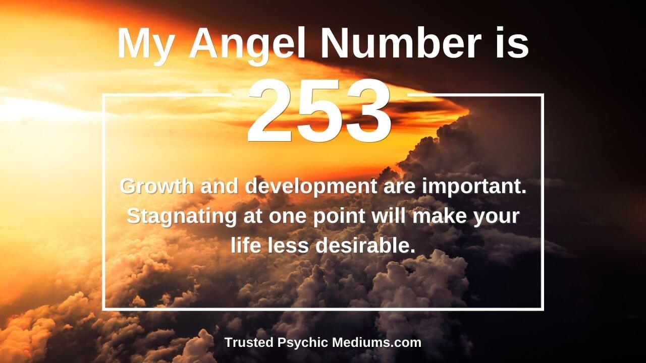 253 angel number