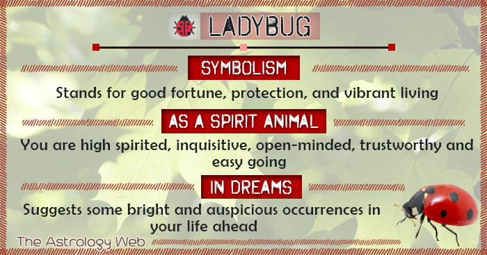 What Does Dreaming of Ladybirds Mean? Exploring Symbols of Good Fortune