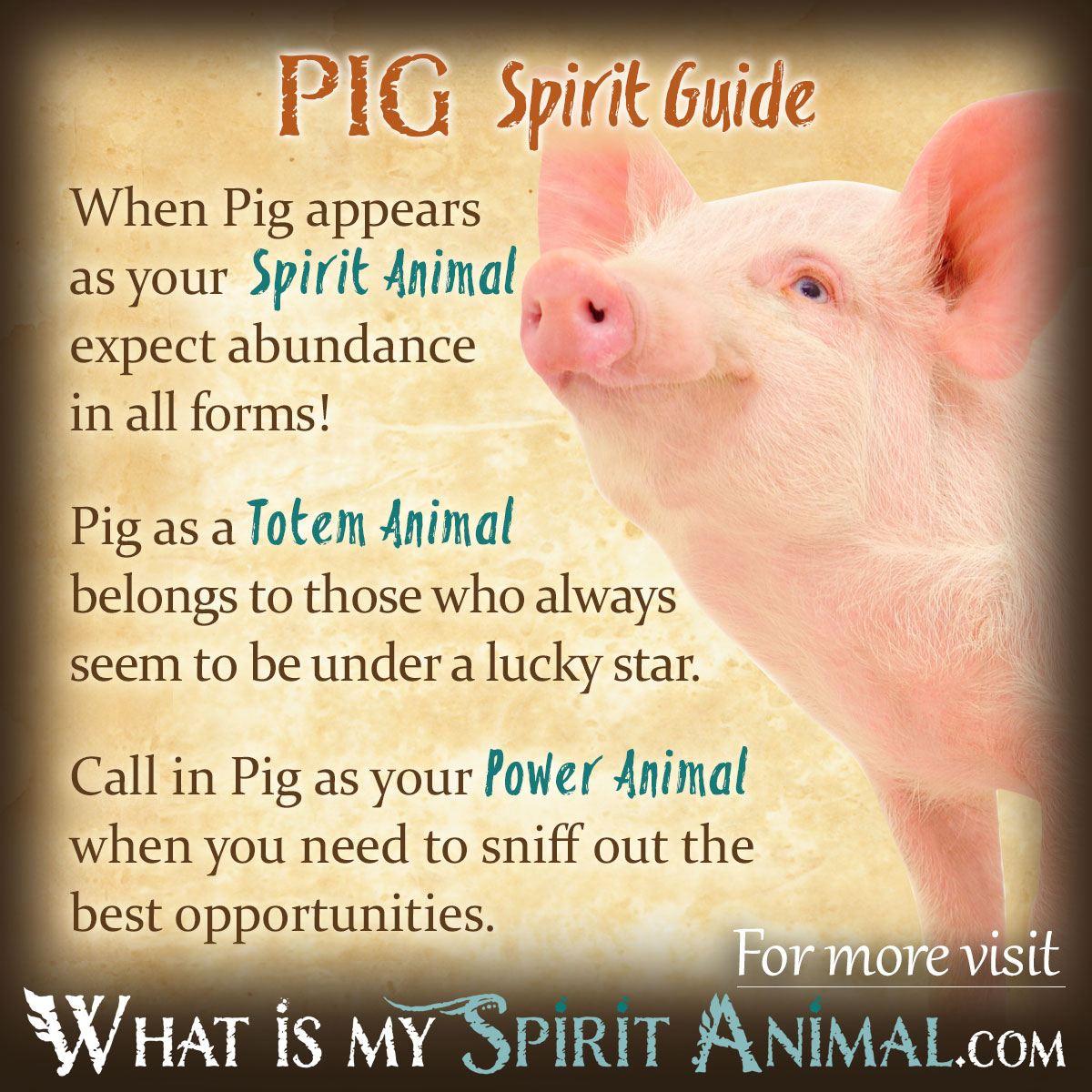 Pigs in Dreams: Exploring Their Spiritual and Symbolic Meaning