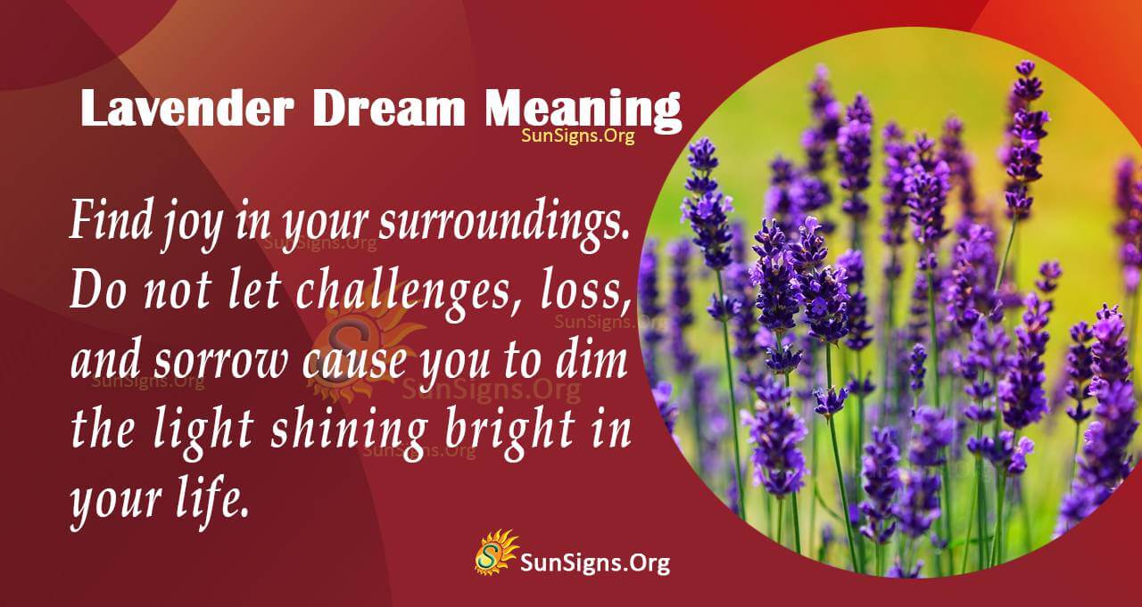 What Does Dreaming of Lavender Mean? Unveil the Peaceful Messages Behind It