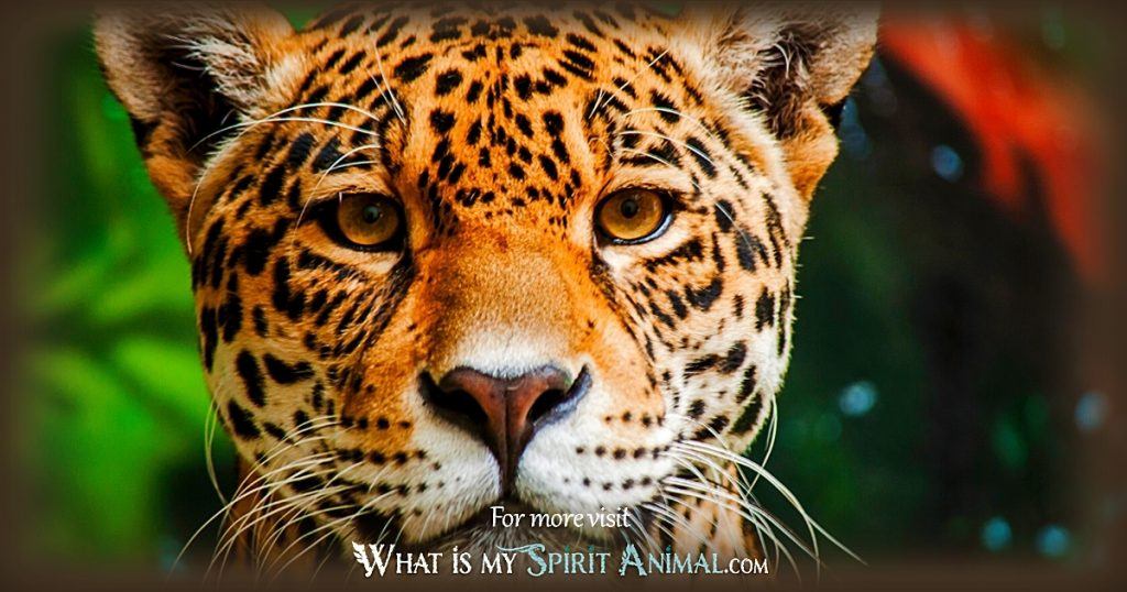 What Does a Jaguar in Your Dream Symbolize? Power, Agility, and Inner Strength