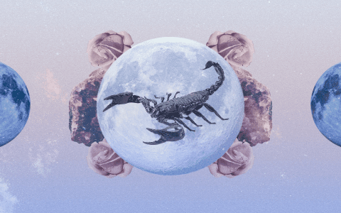 November 2024 Monthly Horoscope: What the Stars Have in Store for You