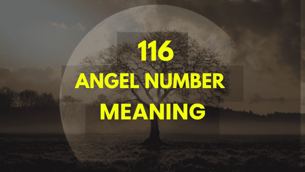 Angel Number 116 Meaning: How It Guides You Towards Success, Balance, and Harmony