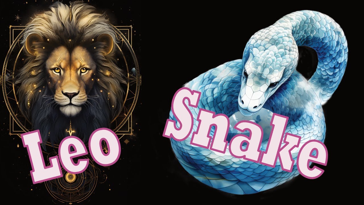 Leo Snake Compatibility: Explore Your Horoscope for Love and Life