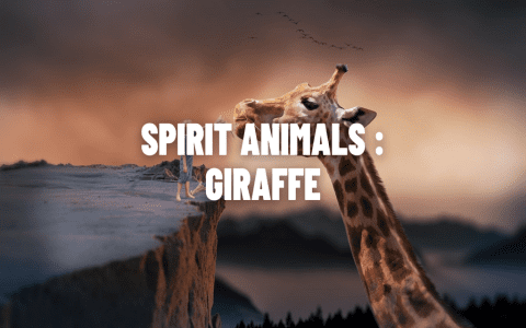 Dream About a Giraffe: Uncovering Its Spiritual and Psychological Meaning