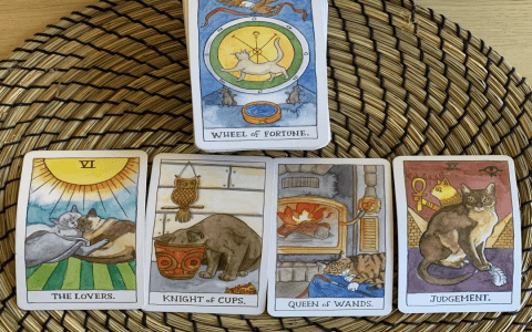 Exploring the Two of Wands in Tarot: Love, Choices, and New Beginnings