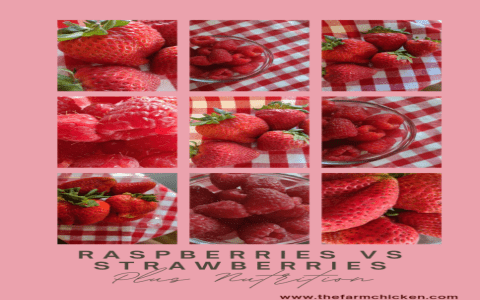 The Complete Guide to the Meaning of Strawberries in a Dream