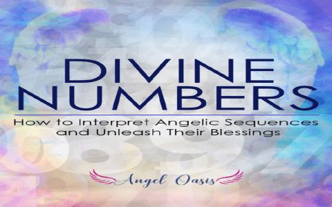 What Angel Number 7979 Means for Love, Spirituality, and Transformation