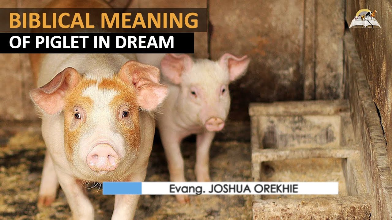 Piglet Dream Meaning: Unlock the Hidden Symbolism of Piglets in Your Sleep