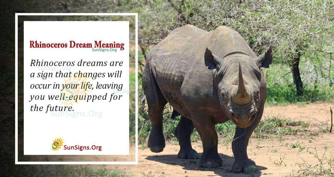 Decoding Your Dreams: What Does a Dream About Rhino Mean