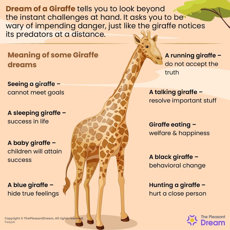 Unraveling the Mystery What a Giraffe Dream Tells You