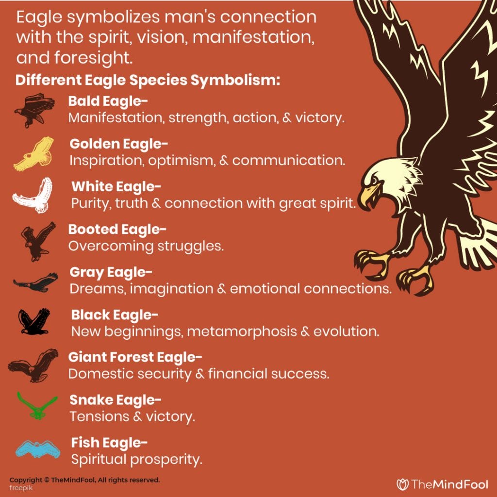 Decoding the Eagle Dream Meaning: A Simple Guide