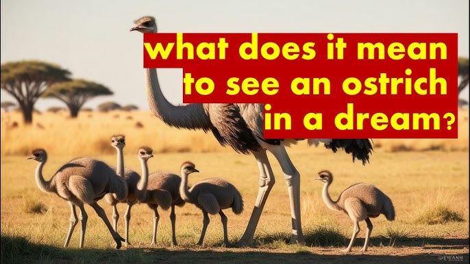 What Does an Ostrich in a Dream Mean? A Simple Interpretation