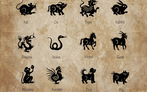 How Compatible Are Goat and Tiger in Chinese Zodiac?