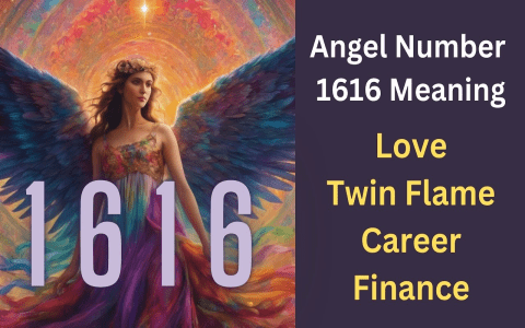 655 Angel Number: Love, Career and Life Path Meanings