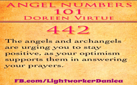 Decoding 4422 Angel Number: Love, Career and Life Path