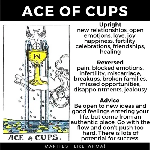 Need Ace of Cups Advice? Heres Your Quick Guide