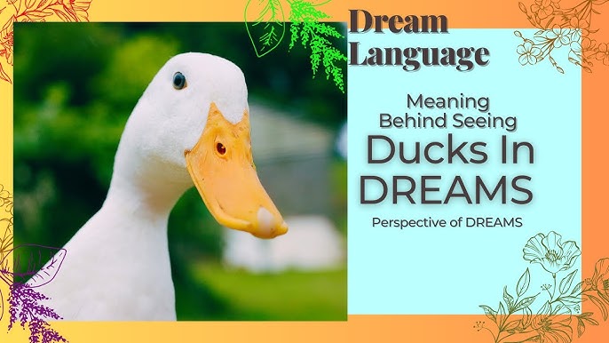 Dream About a Duck Meaning: What Does It Really Mean?