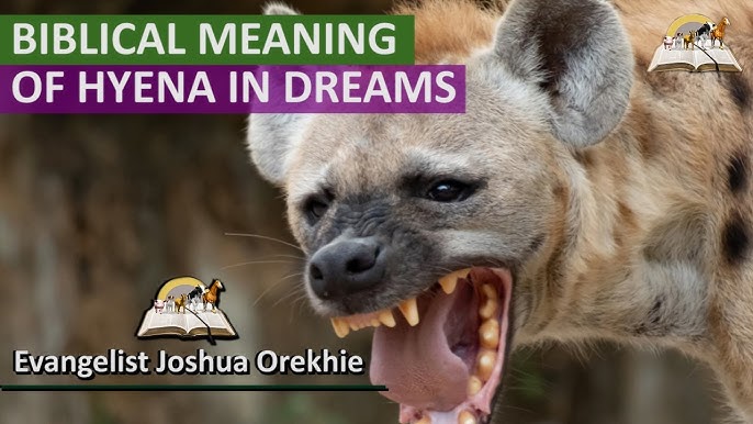 Decoding Your Dreams: What Does Dreaming of Hyenas Mean?