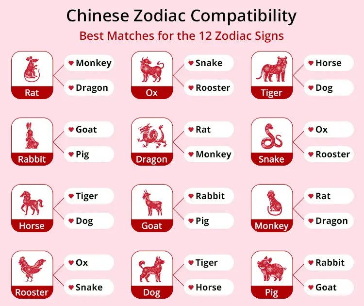 Rooster and Tiger Compatibility: Strengths, Weaknesses, and Best Matches