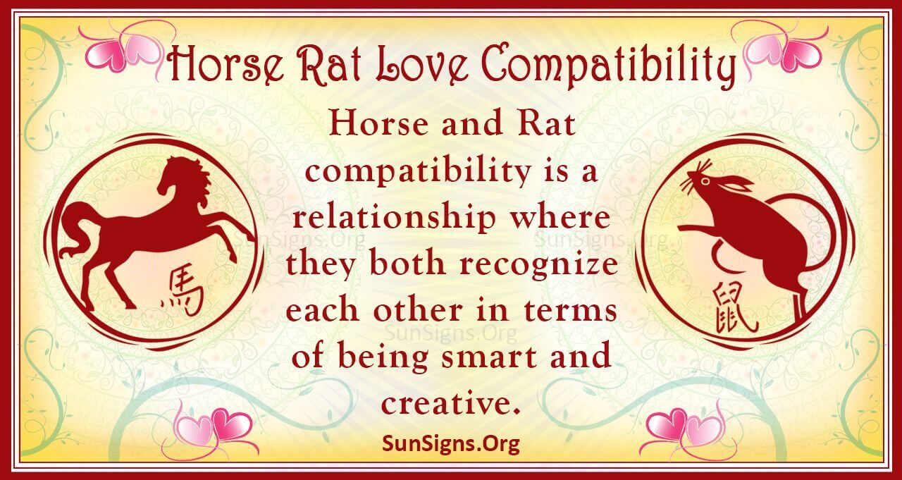 Rat and Horse Compatibility: A Love Match or a Disaster?