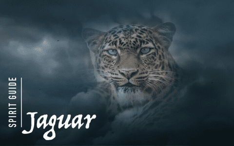 Dream About Jaguar? Find Out Its Hidden Meaning Now