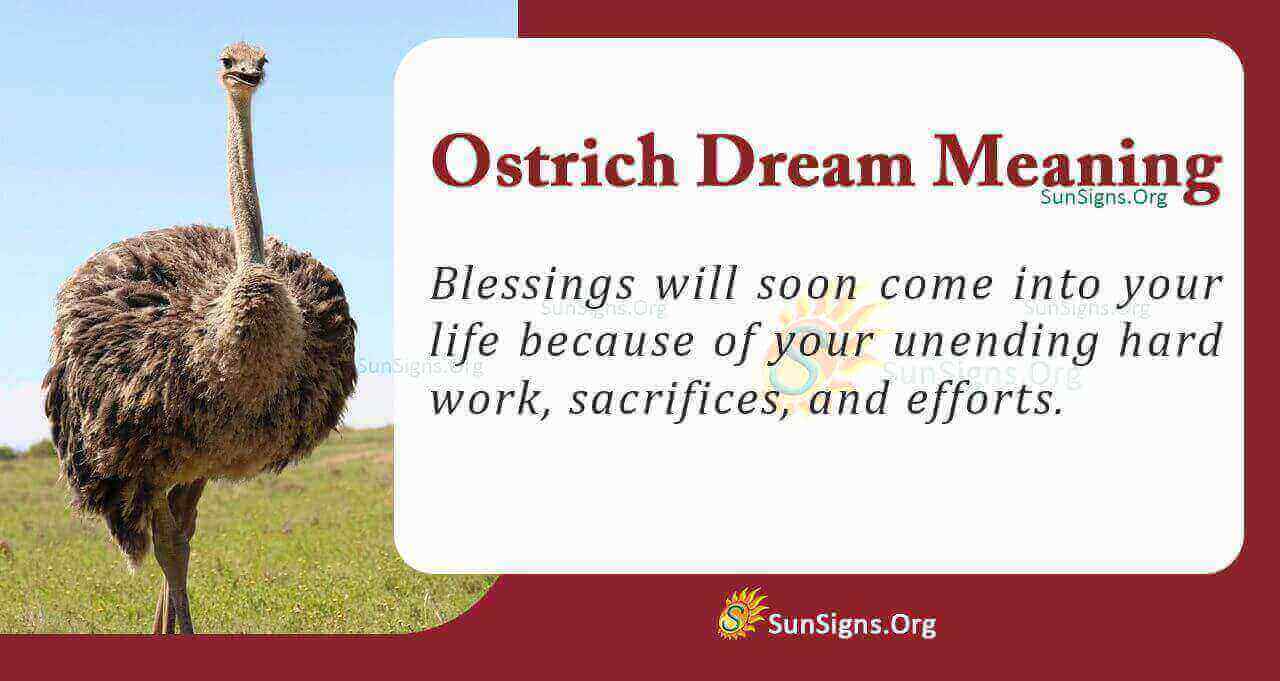 Decode Your Dreams: Ostrich Dream Meaning Explained