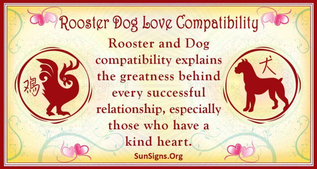 Rooster and Dog Compatibility: Friends or Foes? Lets See Their Marriage Potential.