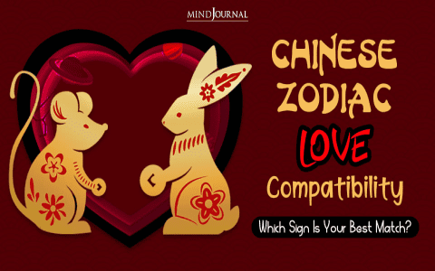 Goat and Pig Chinese Zodiac Compatibility: What You Need to Know