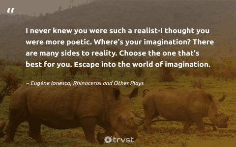 Seeing Rhinoceros in Dreams? Heres Your Interpretation