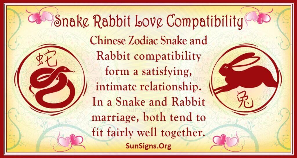 Understanding Snake and Rabbit Compatibility in Marriage