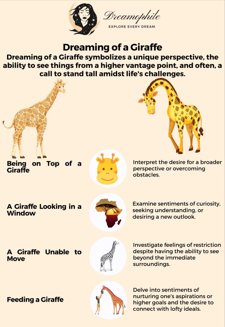 Dreaming of a Giraffe: Positive Meanings and Interpretations