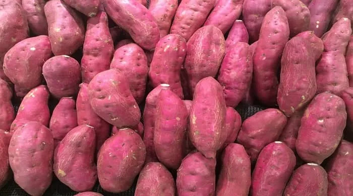 Dream Dictionary Potatoes: Discover the Symbolism of Potatoes in Your Dreams