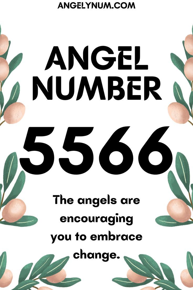 Angel Number 5566 Meaning: What Is It Trying To Tell You?