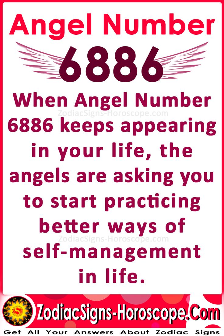 Seeing 6886 Angel Number? Heres What It Means