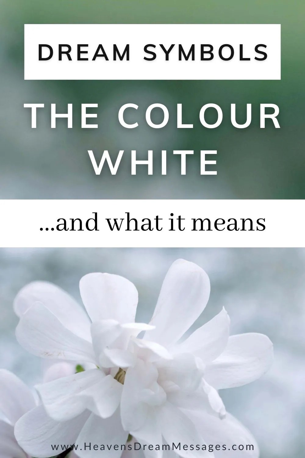 Dream of White: A Complete Guide to Biblical Symbolism