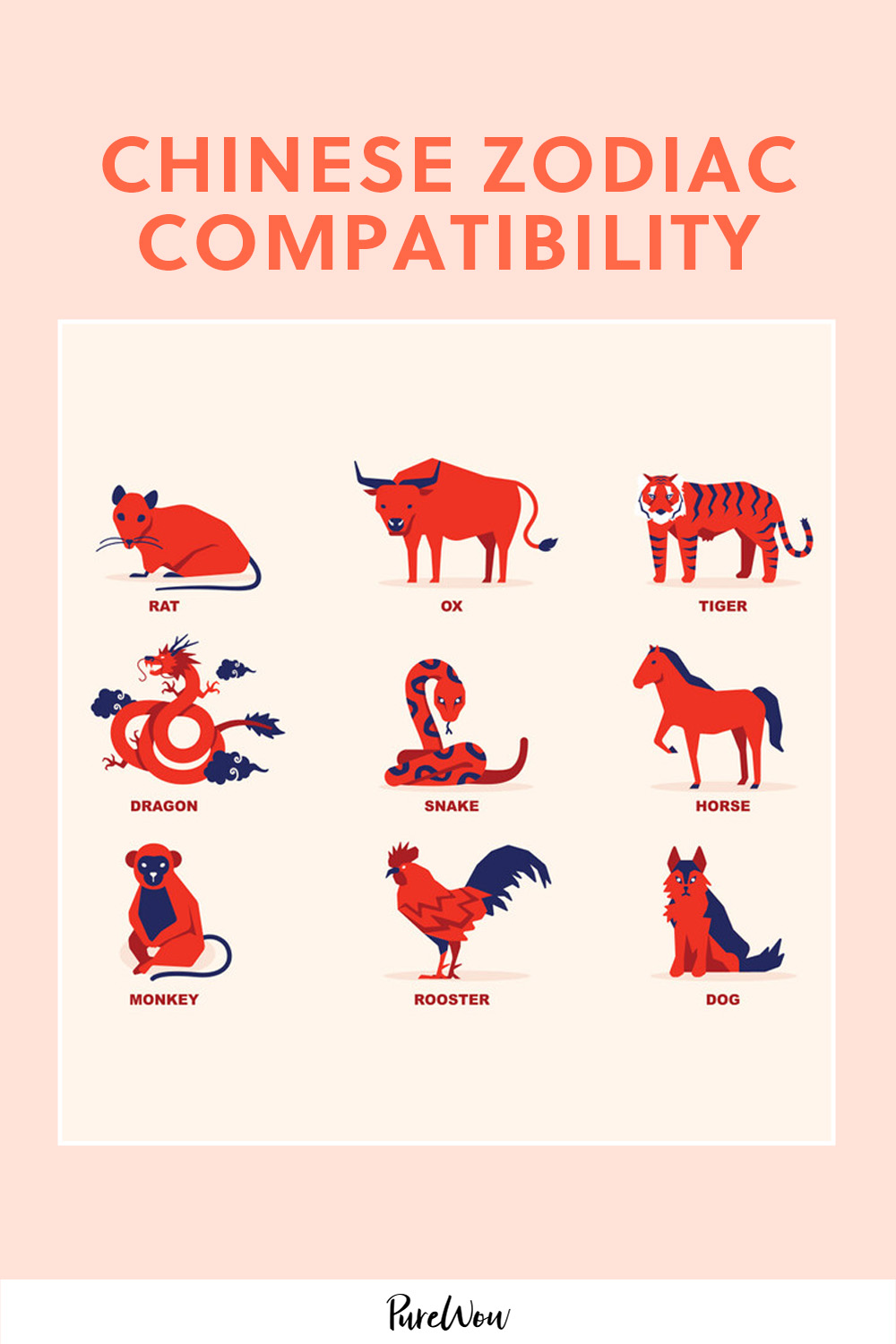 Rat and Horse Compatibility: A Love Match or a Disaster?