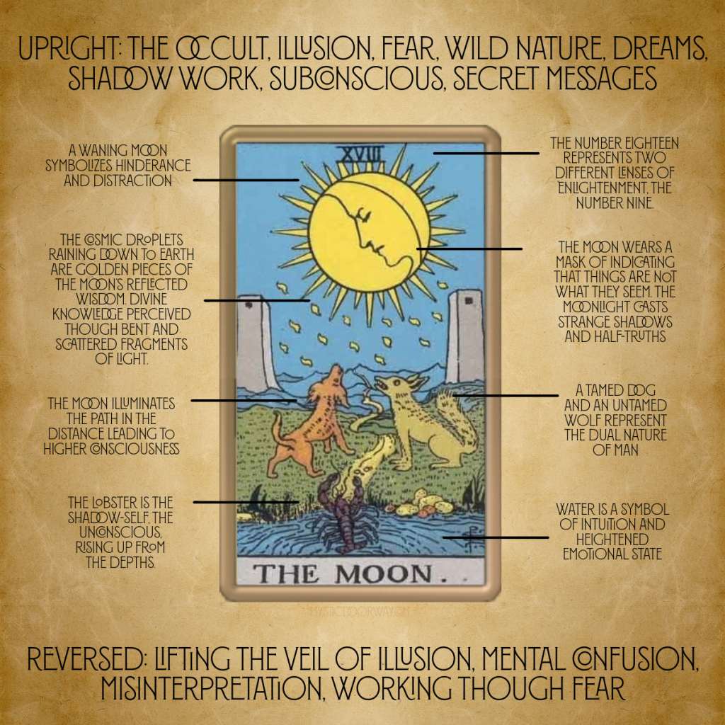 The Moon Reversed Advice: Is Your Intuition Lying to You (Learn What It Really Means)