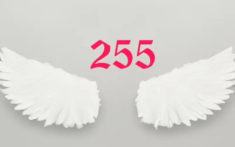 Seeing 255 Angel Number? Discover Its Secret Message Now!