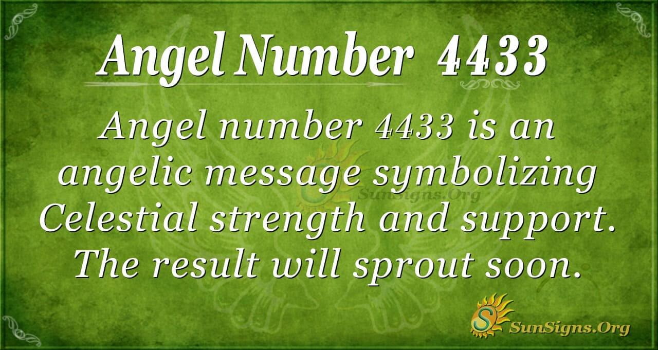 4433 Angel Number Love: What It Means for Your Relationships